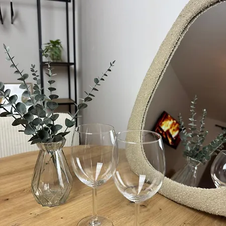 Liya Apartment Ludwigshafen am Rhein